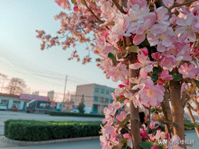 网络舆情敲诈_微信明星黑料,_追剧黑料敲诈案件